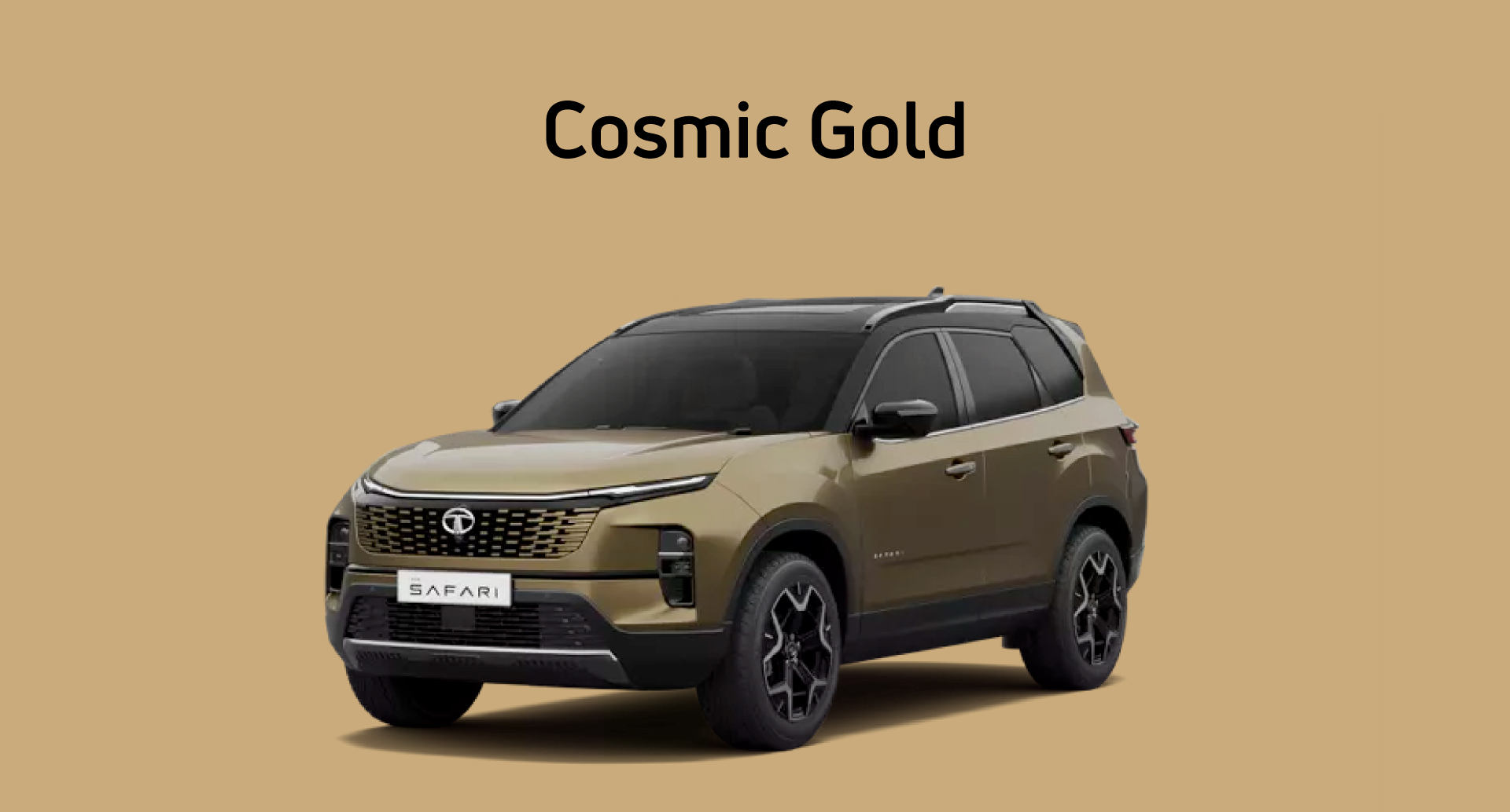 Tata Nexon Daytona Grey Color