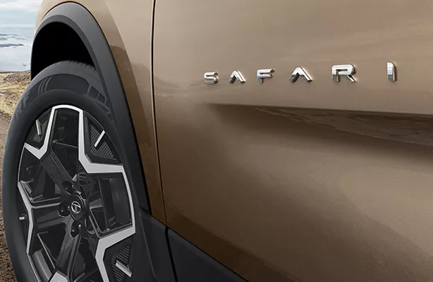 Tata Nexon Height Adjustable Seatbelts